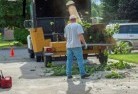 Armstrongtree-cutting-services-13.jpg; ?>